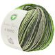 Lana Grossa A MANO (Linea Pura) | 03-vert clair/vert foncé/jaune tendre/gris vert/vert jaune