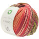 Lana Grossa A MANO (Linea Pura) | 10-saumon/violet/vert/baies/brun foncé/corail
