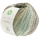 Lana Grossa A MANO (Linea Pura) | 18-brun gris/kaki/beige/sable/gris vert