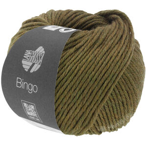 Lana Grossa BINGO Mélange (We Care) | 1012-olive chiné