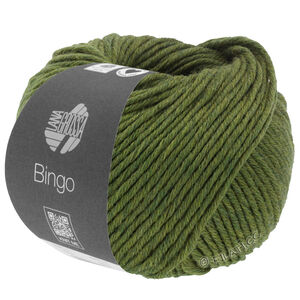Lana Grossa BINGO Mélange (We Care) | 1013-vert olive
