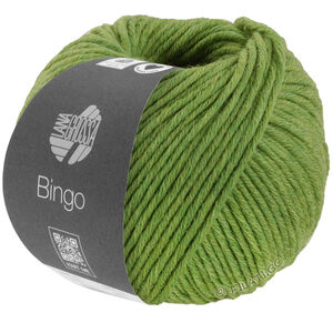 Lana Grossa BINGO Mélange (We Care) | 1036-vert chiné