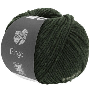 Lana Grossa BINGO Mélange (We Care) | 1040-vert olive foncé chiné