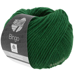 Lana Grossa BINGO  Uni/Melange | 174-sapin