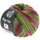 Lana Grossa BINGO Print | 360-olive clair/olive foncé/gris/fuchsia