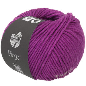 Lana Grossa BINGO  Uni/Melange | 761-orchidée