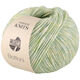 Lana Grossa BOTTONI | 11-vert pastel