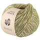 Lana Grossa BOTTONI | 12-brun vert/crème