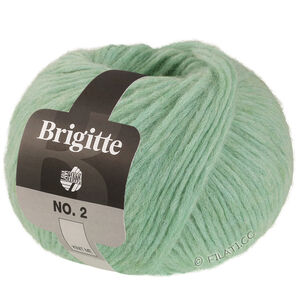 Lana Grossa BRIGITTE NO. 2 | 76-menthe