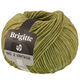 Lana Grossa BRIGITTE NO. 2 Vintage | 208-olive chiné