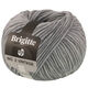 Lana Grossa BRIGITTE NO. 2 Vintage | 209-gris clair chiné