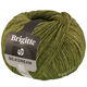 Lana Grossa BRIGITTE Silkdream | 07-olive