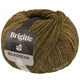 Lana Grossa BRIGITTE Silkdream | 18-olive foncé