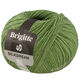 Lana Grossa BRIGITTE Silkdream | 19-vert