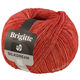 Lana Grossa BRIGITTE Silkdream | 23-terre cuite