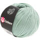 Lana Grossa 365 CASHMERE | 13-menthe