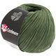 Lana Grossa 365 CASHMERE | 43-vert mousse