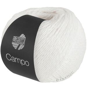 Lana Grossa CAMPO | 01-blanc