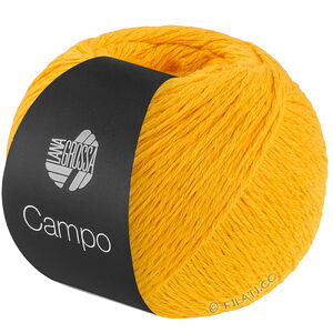 Lana Grossa CAMPO | 37-jaune