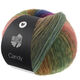 Lana Grossa CANDY | 08-vert mousse/forêt verte/lilas/violet gris/jean/gris foncé/orange/jaune/rose vif/bleu foncé/saumon/nougat/jade/blanc