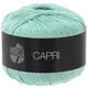 Lana Grossa CAPRI | 14-menthe