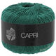 Lana Grossa CAPRI | 28-vert sapin