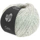 Lana Grossa CARA | 09-gris vert