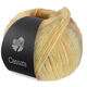 Lana Grossa CASSATA | 09-jaune pâle/jaune citrus/vieux rose/bleu gris/violet gris