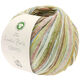 Lana Grossa CERTO Print (Linea Pura) | 105-olive/bleu gris/jaune/brun/nature