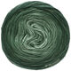 Lana Grossa CHILLY DÉGRADÉ (ABOUT BERLIN) | 102-gris vert dégradé