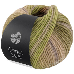 Lana Grossa CINQUE MULTI | 26-gris vert/mûre/lilas/bois de rose/moutarde chiné