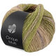 Lana Grossa CINQUE MULTI | 26-gris vert/mûre/lilas/bois de rose/moutarde chiné