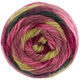 Lana Grossa COLORATO Aktion | 02-baies/olive clair/framboise/bordeaux/forêt verte/mûre