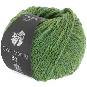 Lana Grossa COOL MERINO Big | 204-vert