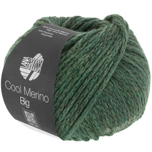 Lana Grossa COOL MERINO Big | 205-vert mousse