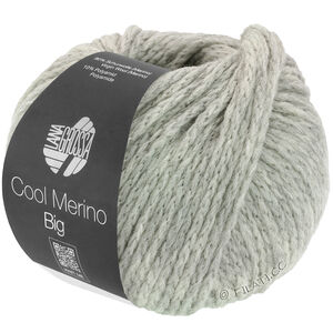 Lana Grossa COOL MERINO Big | 218-gris clair