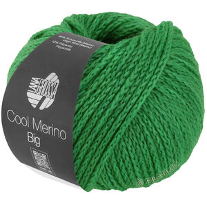 Lana Grossa COOL MERINO Big | 226-vert printanier