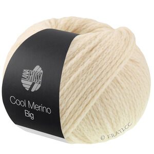 Lana Grossa COOL MERINO Big | 241-coquille