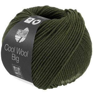 Lana Grossa COOL WOOL Big Mélange (We Care) | 1695-vert loden chiné