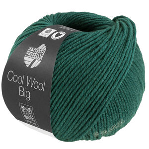 Lana Grossa COOL WOOL Big Mélange (We Care) | 1705-vert foncé chiné
