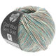 Lana Grossa COOL WOOL Semi Solid | 6518-vieux rose/bleu gris/gris vert/écru chiné
