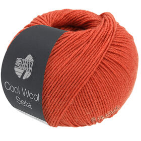 COOL WOOL Seta de Lana Grossa