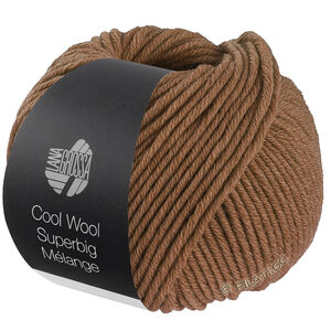 Lana Grossa COOL WOOL Superbig Mélange | 229-nougat chiné