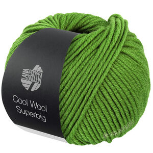 Lana Grossa COOL WOOL Superbig | 25-vert mai