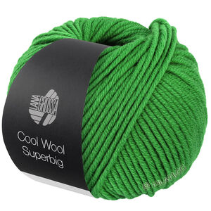 Lana Grossa COOL WOOL Superbig | 26-vert