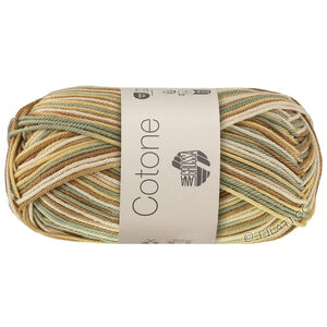 Lana Grossa COTONE  Print/Spray/Mouliné | 371-crème/vanille/beige clair/chameau/vert sauge