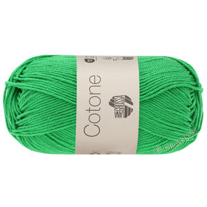 Lana Grossa COTONE | 046-vert