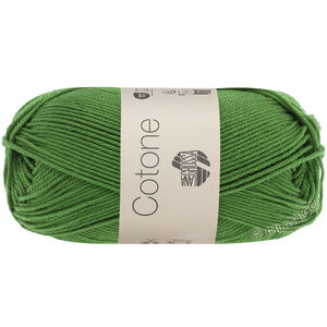 Lana Grossa COTONE | 054-vert fougère