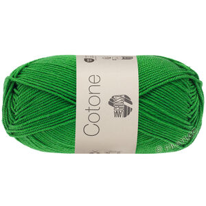 Lana Grossa COTONE | 135-vert menthe