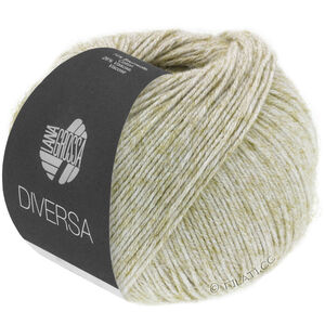 Lana Grossa DIVERSA | 07-nature
